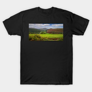 Looking down Horseshoe Pass T-Shirt